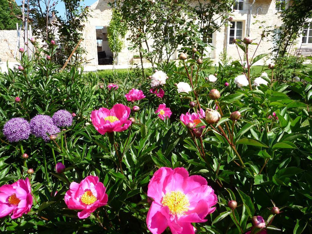 La Maison Du Potager De Mazieres Sainte-Solange Zewnętrze zdjęcie